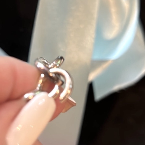 Tiffany & Co. Chain Link Clasping Charm Bracelet 100% Authentic - Picture 4 of 9